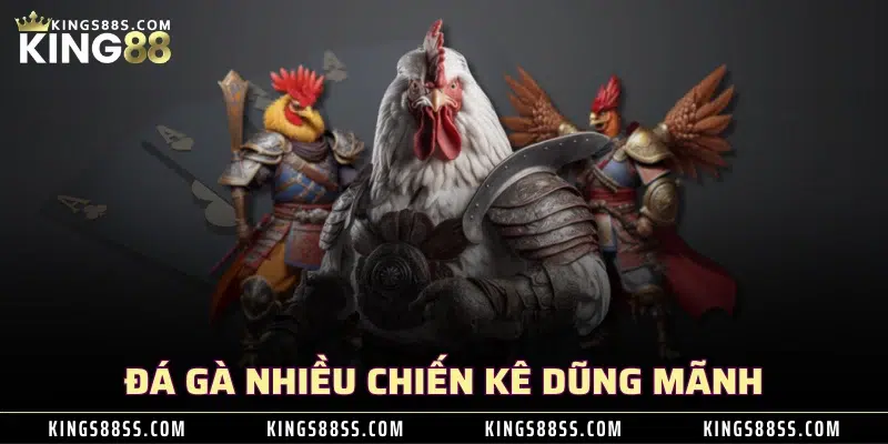 nháp trang chủ 31 Đá gà nhiều chiến kê dũng mãnh