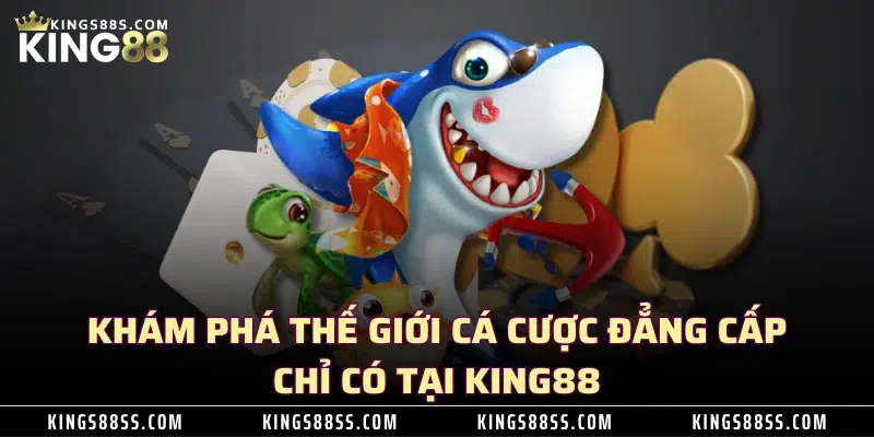 nháp trang chủ 30 Khám phá thế giới cá cược đẳng cấp chỉ có tại KING88